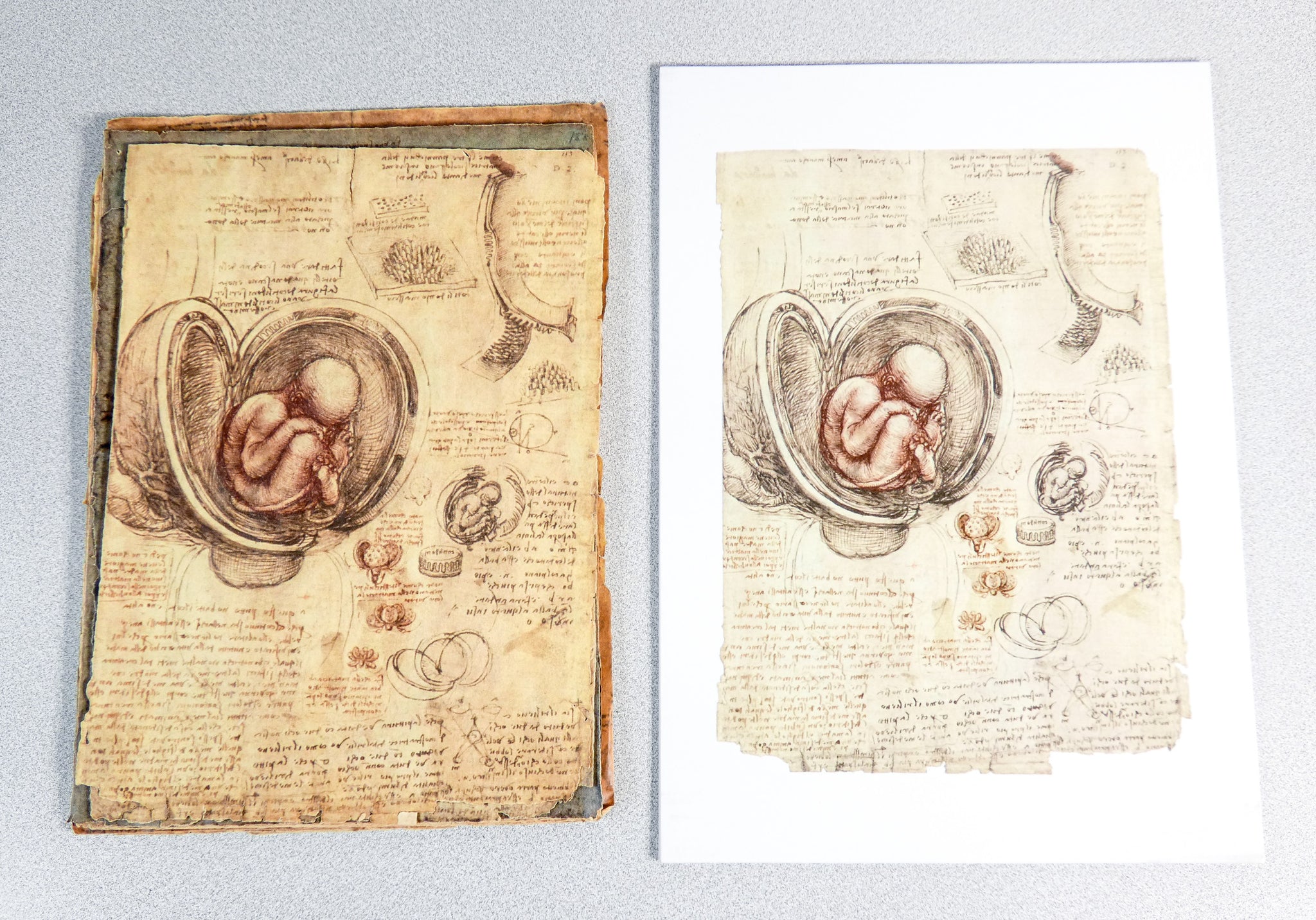 codice anatomia leonardo da vinci manoscritto facsimile libro omnia arte