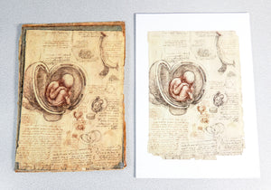 codice anatomia leonardo da vinci manoscritto facsimile libro omnia arte