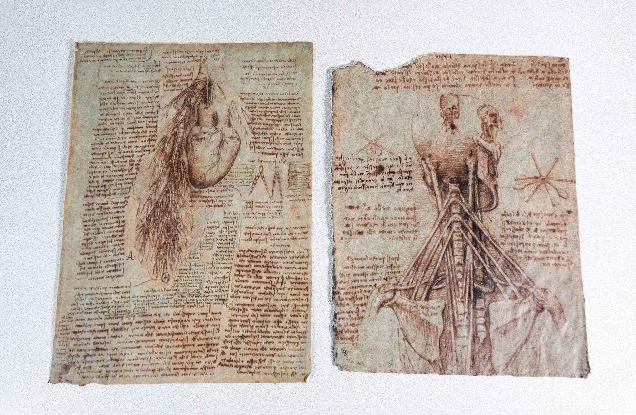 codice anatomia leonardo da vinci manoscritto facsimile libro omnia arte