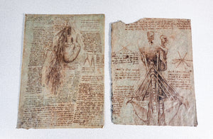 codice anatomia leonardo da vinci manoscritto facsimile libro omnia arte