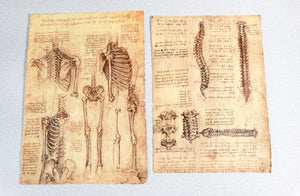 codice anatomia leonardo da vinci manoscritto facsimile libro omnia arte