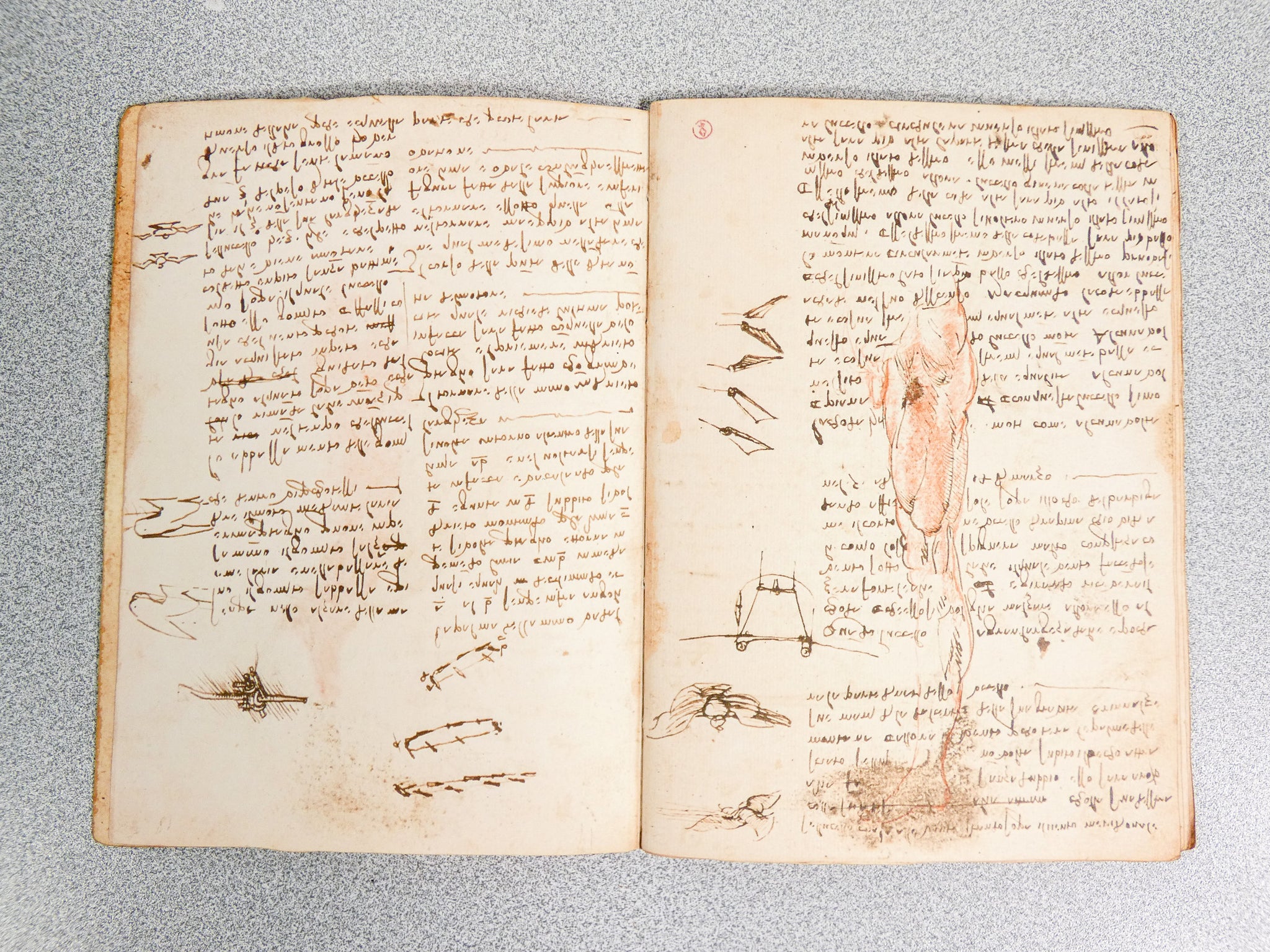 codice volo uccelli leonardo da vinci giunti barbera 1976 manoscritto facsimile
