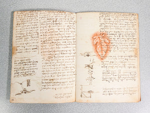 codice volo uccelli leonardo da vinci giunti barbera 1976 manoscritto facsimile