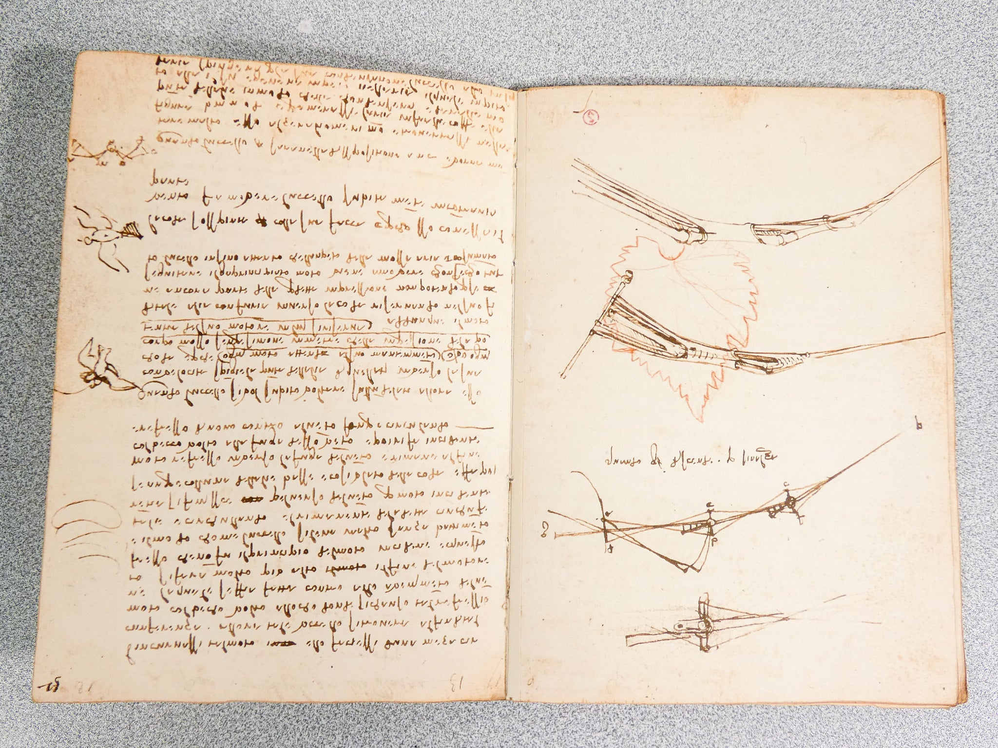 codice volo uccelli leonardo da vinci giunti barbera 1976 manoscritto facsimile