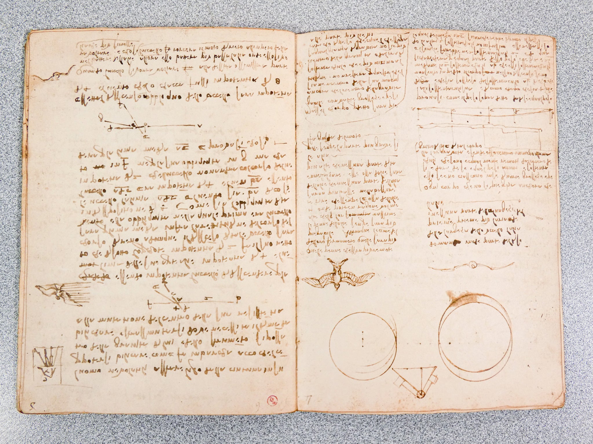 codice volo uccelli leonardo da vinci giunti barbera 1976 manoscritto facsimile