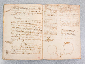 codice volo uccelli leonardo da vinci giunti barbera 1976 manoscritto facsimile