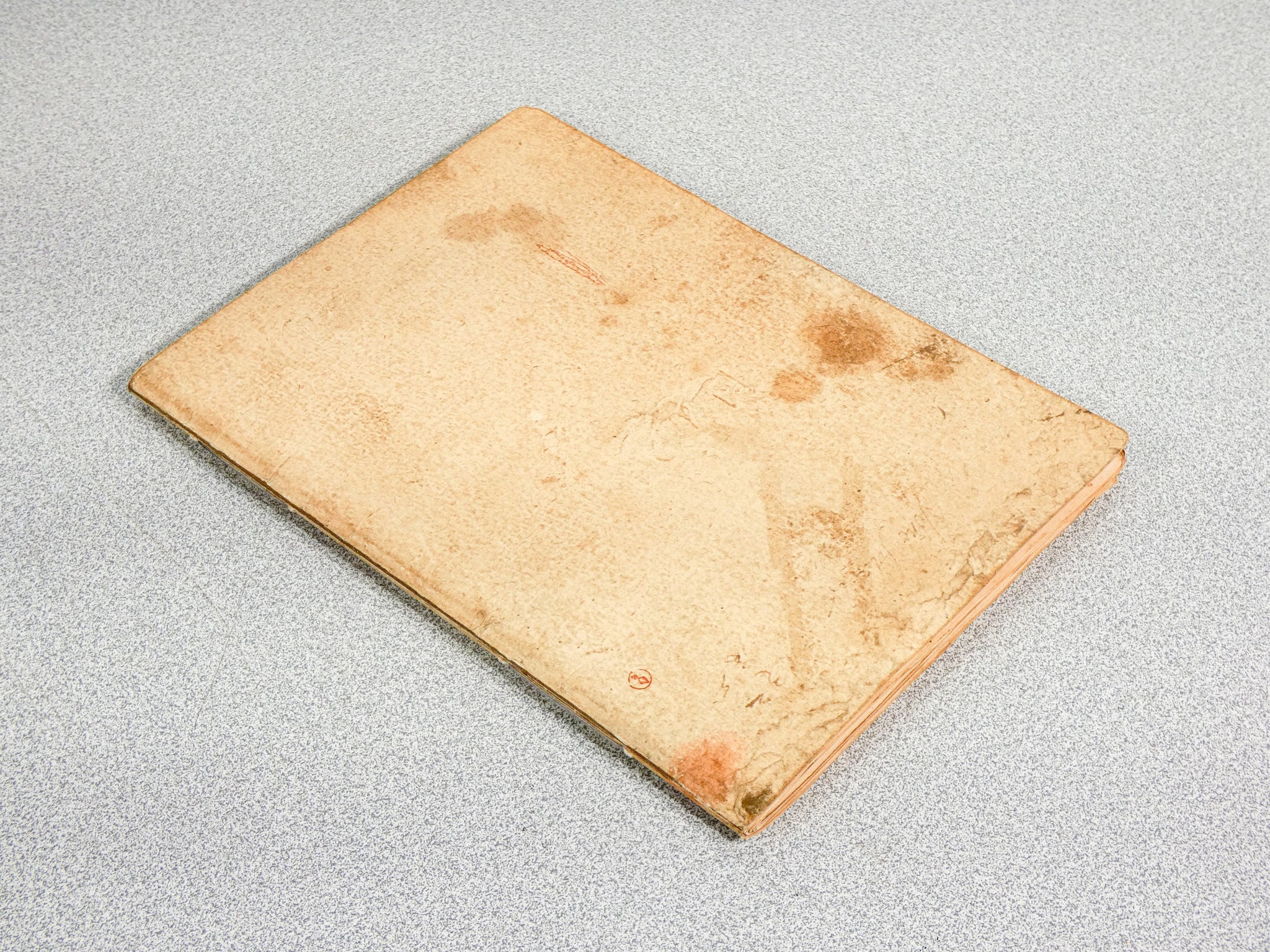 codice volo uccelli leonardo da vinci giunti barbera 1976 manoscritto facsimile