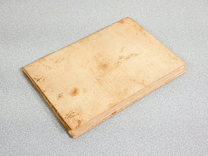 codice volo uccelli leonardo da vinci giunti barbera 1976 manoscritto facsimile