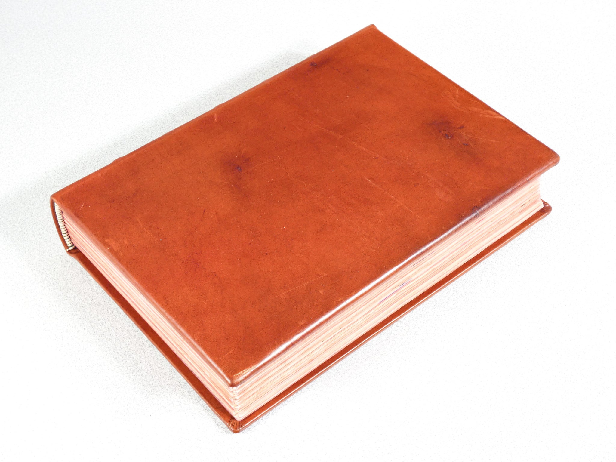 divina commedia dante 1491 manoscritto codice miniato salerno ed fascimile