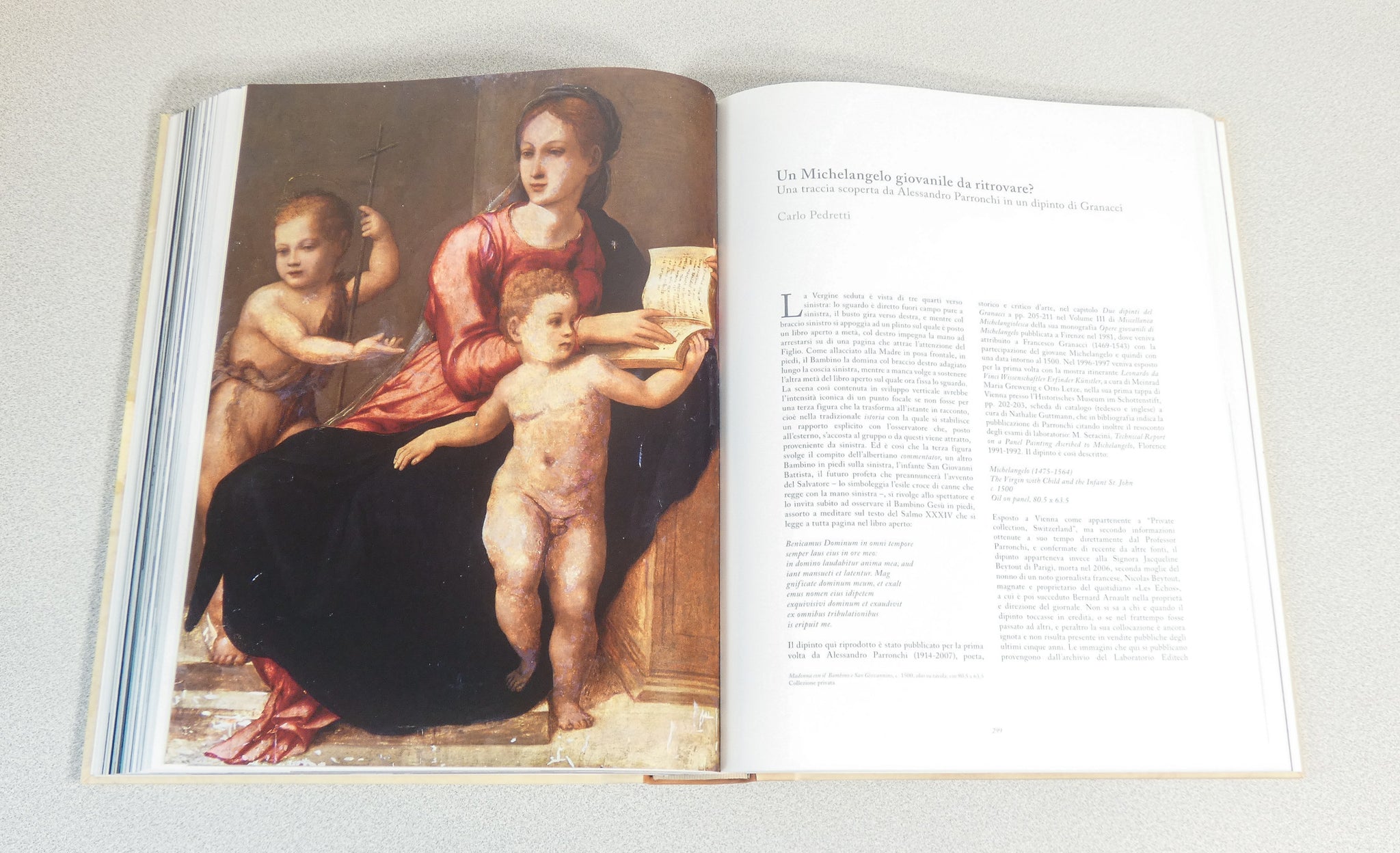 libro michelangelo assoluto scripta maneant collezione rinascimento sublime