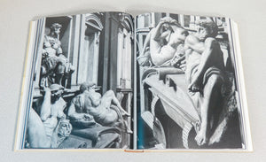 libro michelangelo assoluto scripta maneant collezione rinascimento sublime