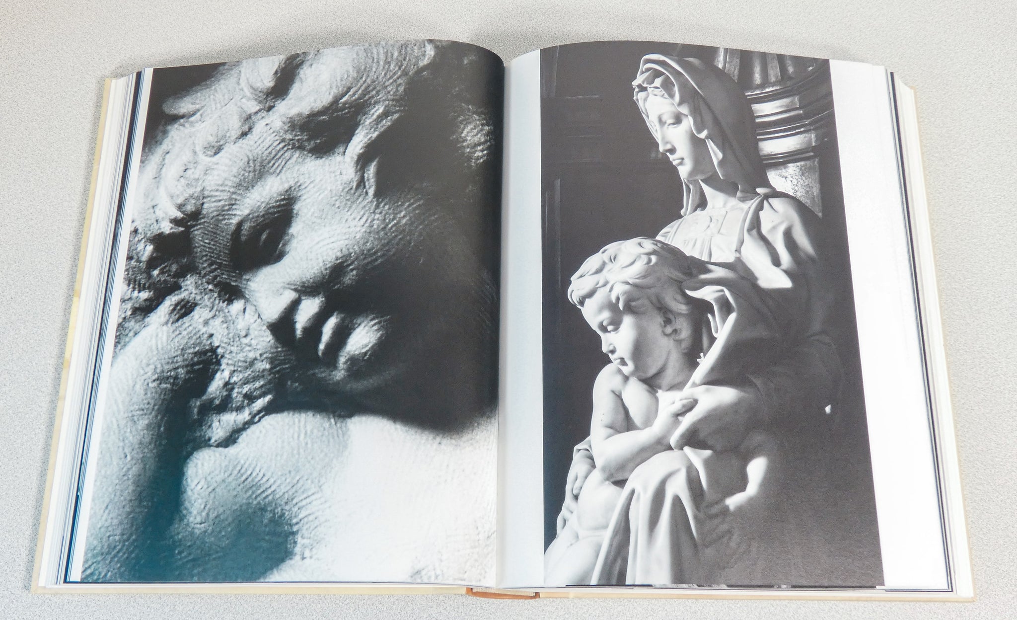 libro michelangelo assoluto scripta maneant collezione rinascimento sublime