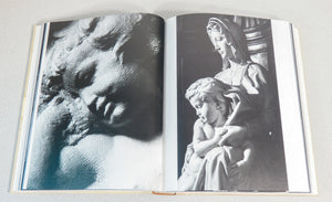 libro michelangelo assoluto scripta maneant collezione rinascimento sublime