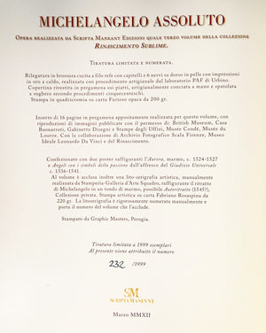 libro michelangelo assoluto scripta maneant collezione rinascimento sublime