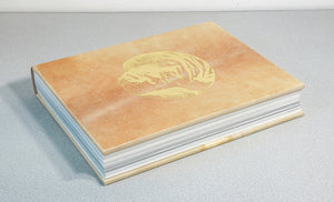 libro michelangelo assoluto scripta maneant collezione rinascimento sublime