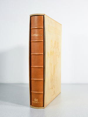 libro raffaello universale scripta maneant collezione rinascimento sublime