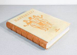 libro raffaello universale scripta maneant collezione rinascimento sublime
