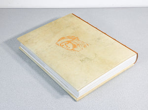 libro raffaello universale scripta maneant collezione rinascimento sublime