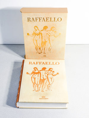 libro raffaello universale scripta maneant collezione rinascimento sublime