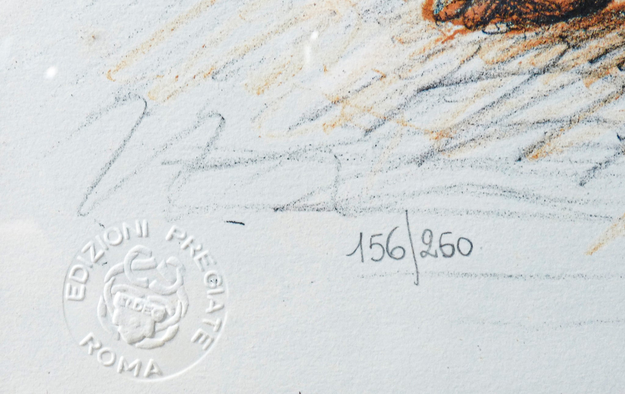 litografia firmata marcello tommasi nudo donna grafica stampa numerata