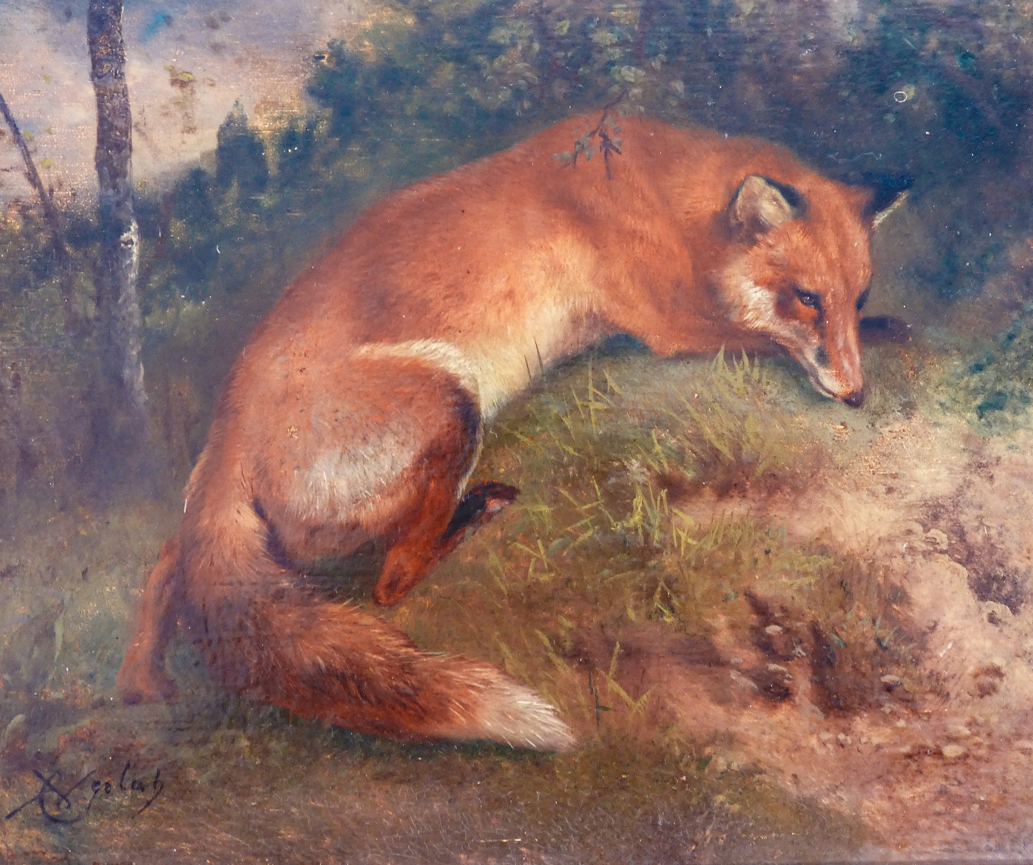 quadro firmato charles verlat volpe coniglio dipinto olio tavola epoca 1850 