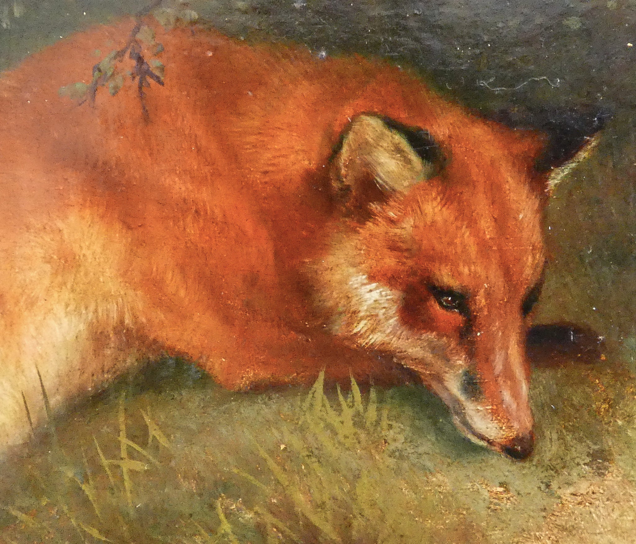 quadro firmato charles verlat volpe coniglio dipinto olio tavola epoca 1850 
