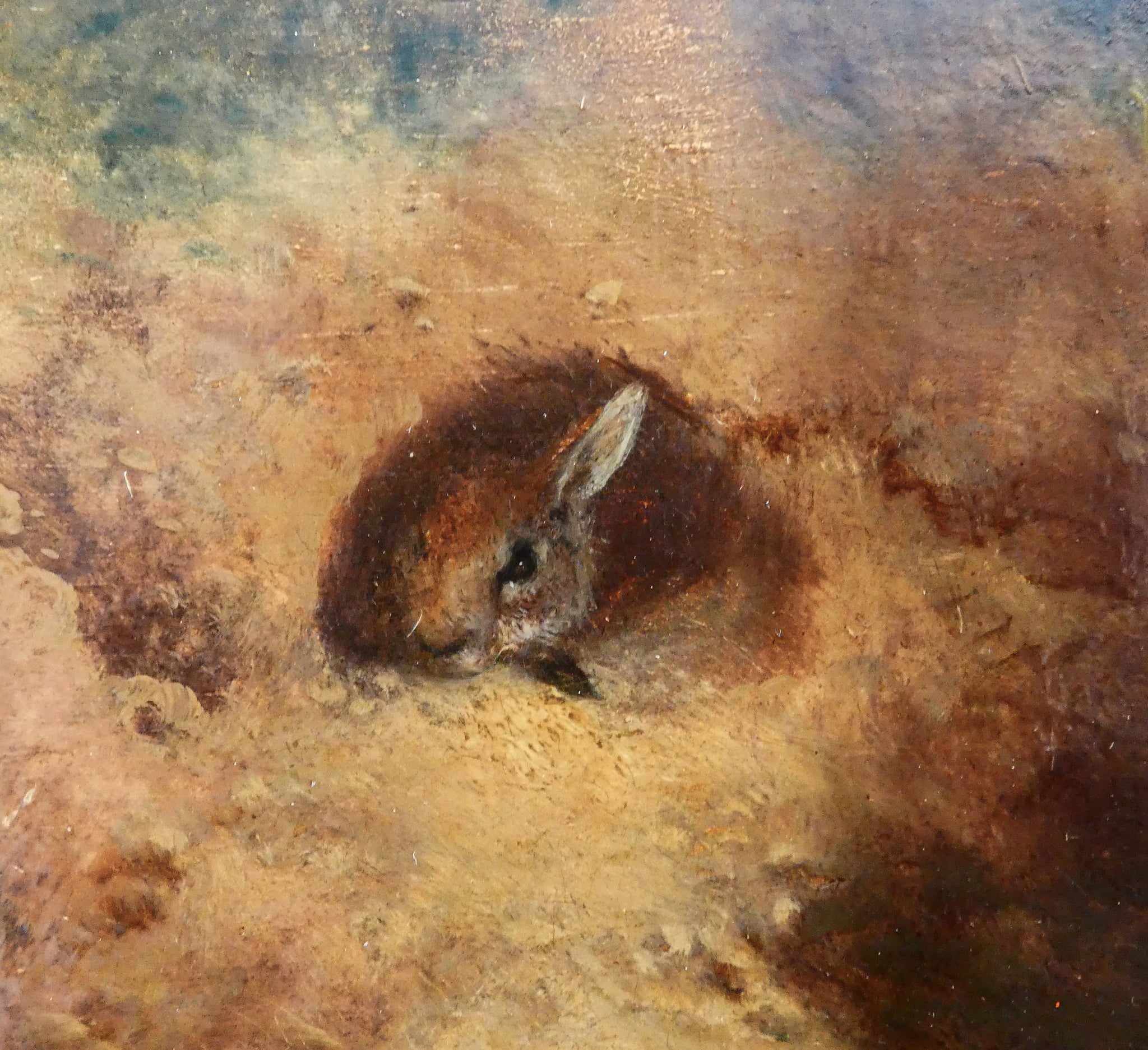 quadro firmato charles verlat volpe coniglio dipinto olio tavola epoca 1850 