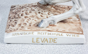 scultura cavallo porcellana unter weiss bach levade spanische reitschule wien