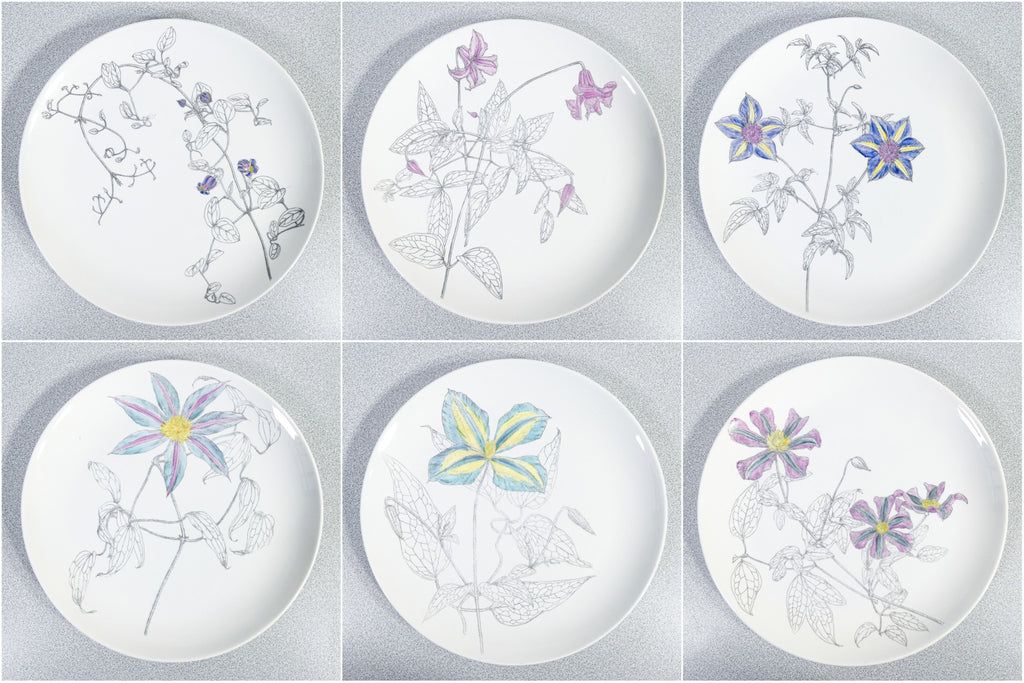 set 6 piatti design piero fornasetti clematites fiori porcellana collezione