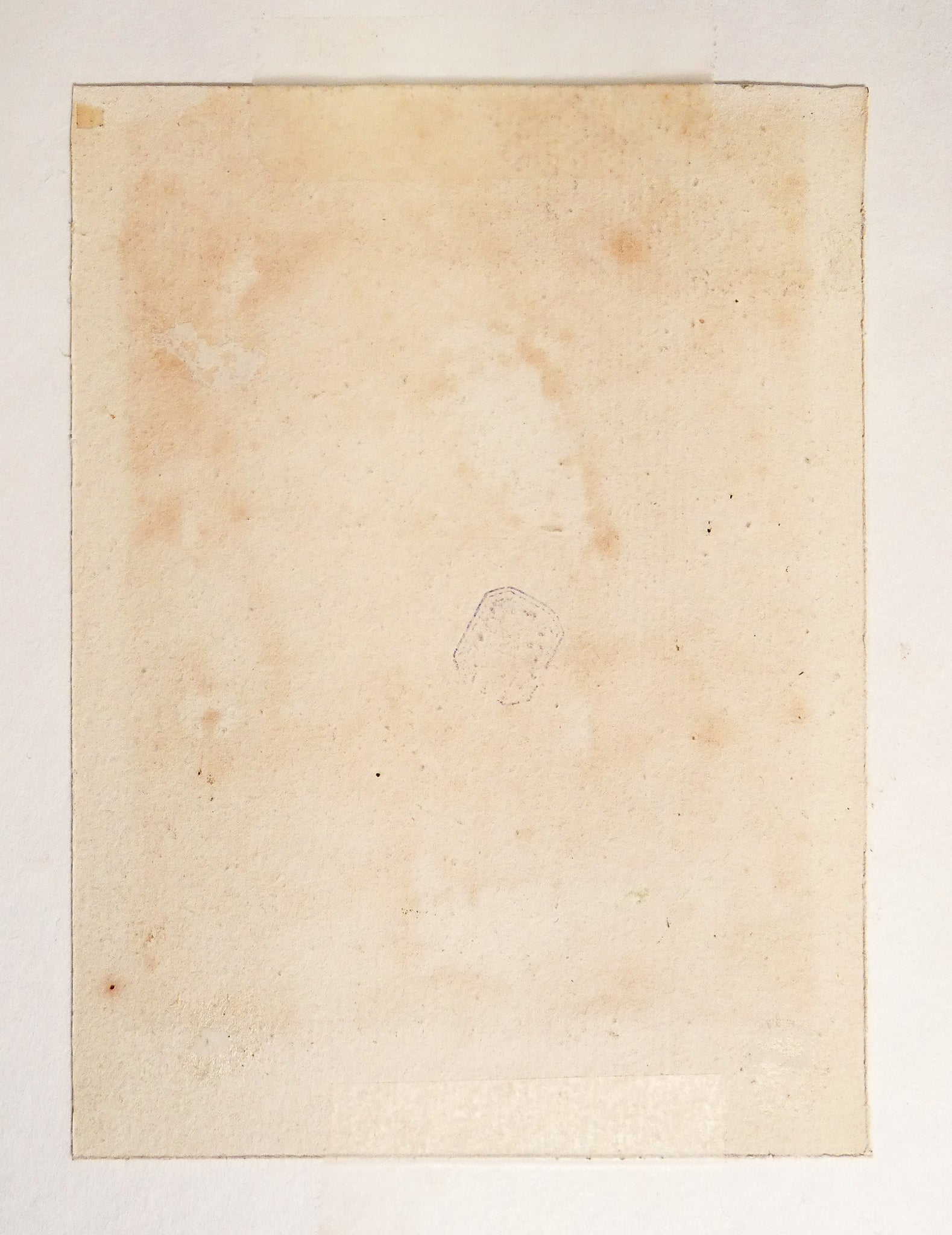 stampa dama a cavallo lanzichenecco firmata albrecht durer incisione bulino