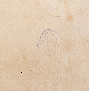 stampa dama a cavallo lanzichenecco firmata albrecht durer incisione bulino