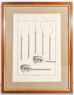 stampa grafica epoca 1790 incisione medicina chirurgia oculistica oftalmica 1