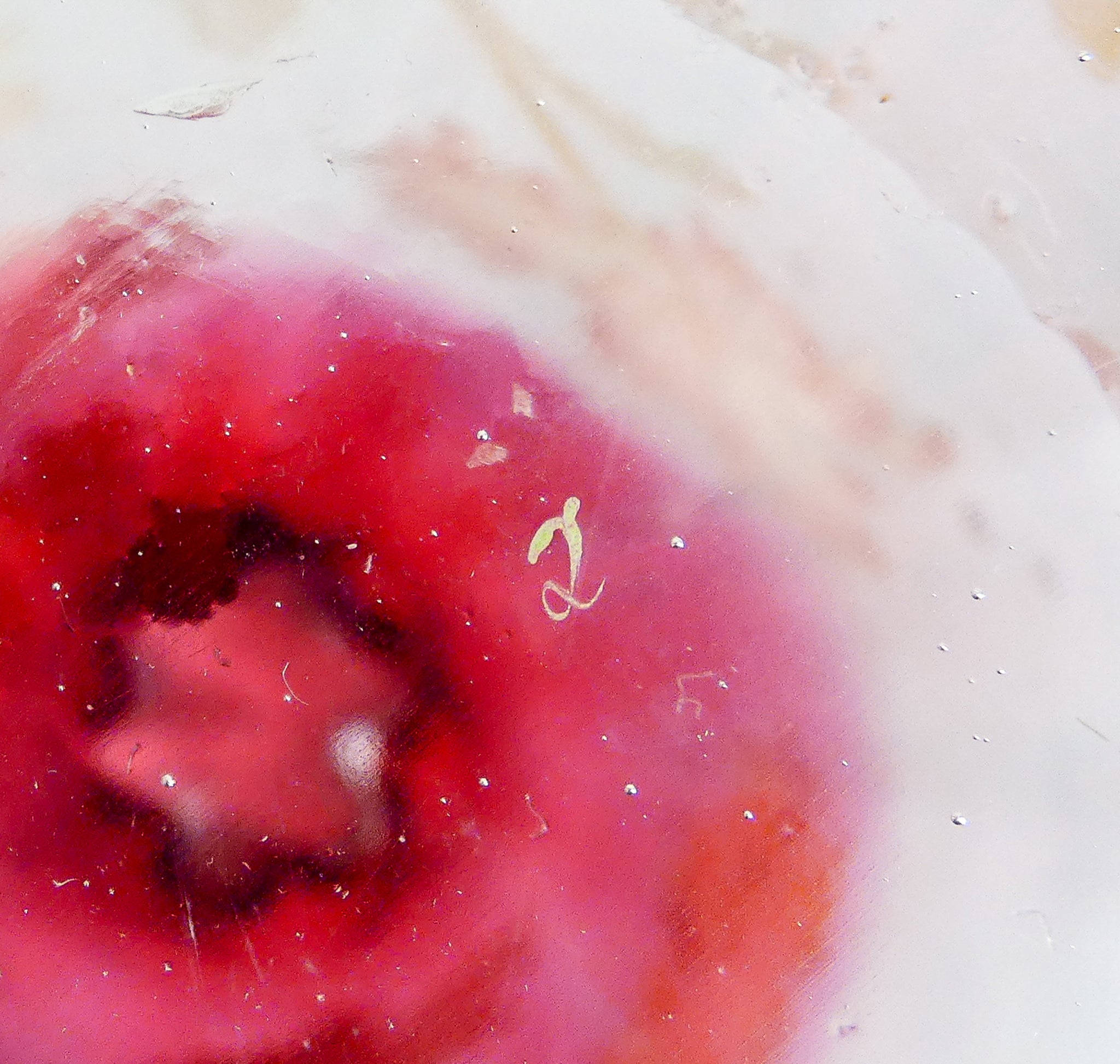 vaso legras vetro soffiato smalto dipinto a mano francia liberty epoca 1920s