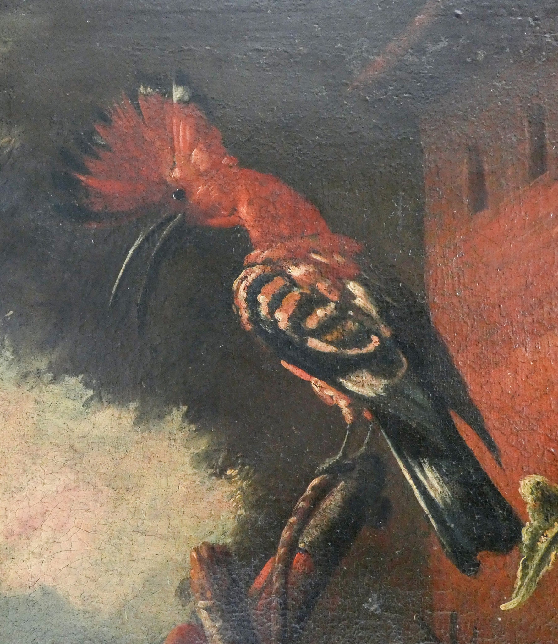 antico quadro stile melchior de hondecoeter 1600 dipinto olio tela fiammingo