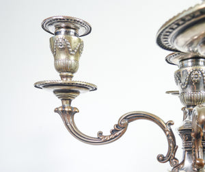 candelabro old sheffield 5 lumi placcato argento 1800 stile luigi xvi antico