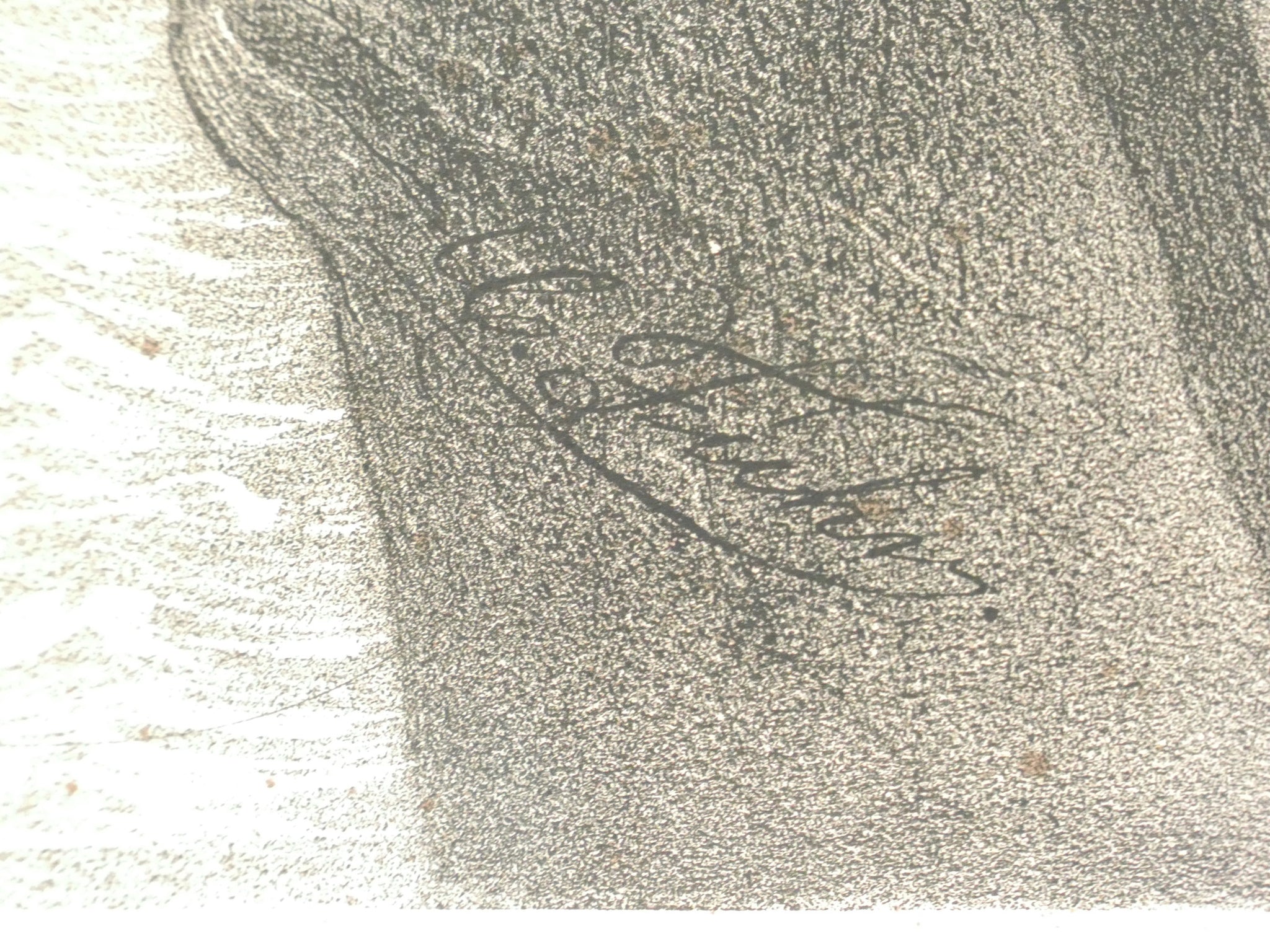 litografia fuhr lafosse delaroche napoleon a sainte helene napoleone 1859 antica