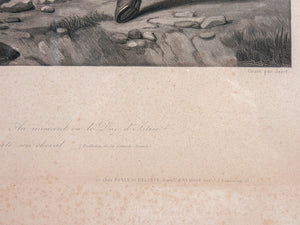 stampa napoleone bataille wagram vernet jazet epoca 1840 ca litografia antica
