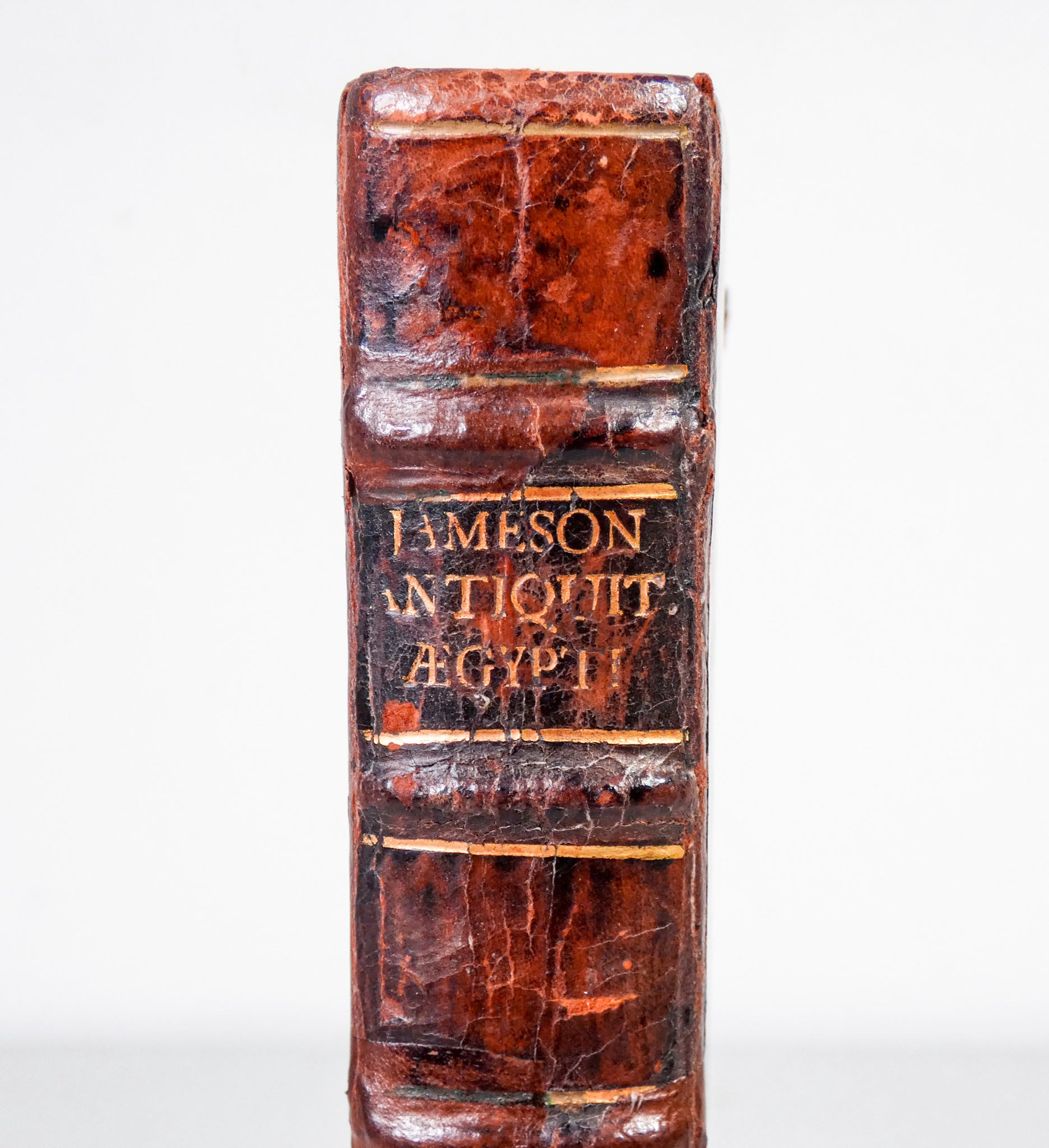 volume spicilegia antiquitatum aegypti 1720 jameson gulielmus glasgow antico 